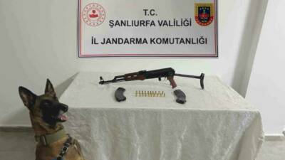 Şanlıurfa'da jandarma ekipleri tarafından düzenlenen operasyonda uzun namlulu bir silah