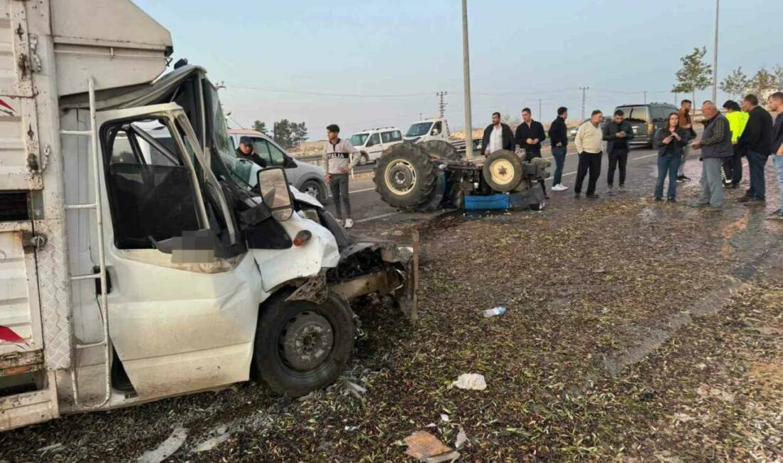 Şanlıurfa'nın Birecik ilçesinde, zeytin yüklü traktör ile kamyonetin çarpışması sonucu