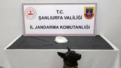 Şanlıurfa'da jandarma ekipleri, Haliliye ilçesinde narkotik suçlarla mücadele kapsamında operasyon