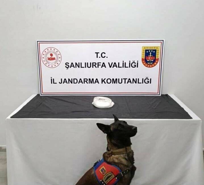 Şanlıurfa'da jandarma ekipleri, Haliliye ilçesinde narkotik suçlarla mücadele kapsamında operasyon