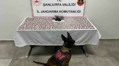 Şanlıurfa İl Jandarma Komutanlığı tarafından Haliliye ilçesinde düzenlenen operasyonda uyuşturucu