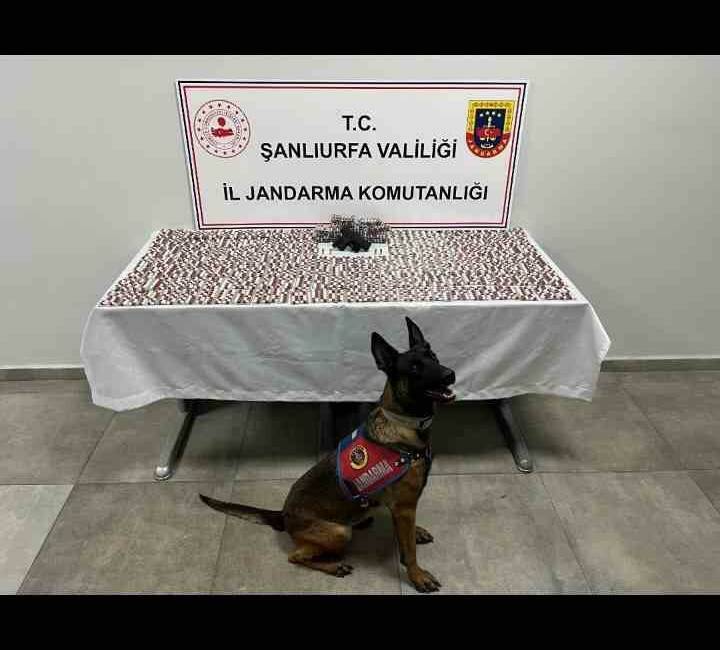 Şanlıurfa’da uyuşturucu operasyonu: 2 gözaltı Şanlıurfa İl Jandarma Komutanlığı tarafından Haliliye ilçesinde düzenlenen operasyonda uyuşturucu
