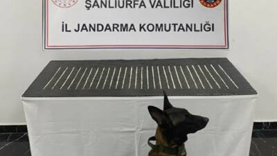Şanlıurfa’da uyuşturucu madde ticareti yaptığı tespit edilen 4 şüpheli şahıs