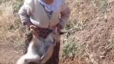 Sason ilçesinin Gürgenli köyünde yaşayan ve geçen yıl kümesine dadanan