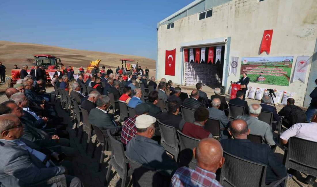 Siirt’te 203 ton kırmızı mercimek çiftçilere dağıtıldı Siirt’te 13 milyon 333 bin 333 lira bütçeyle 15 bin