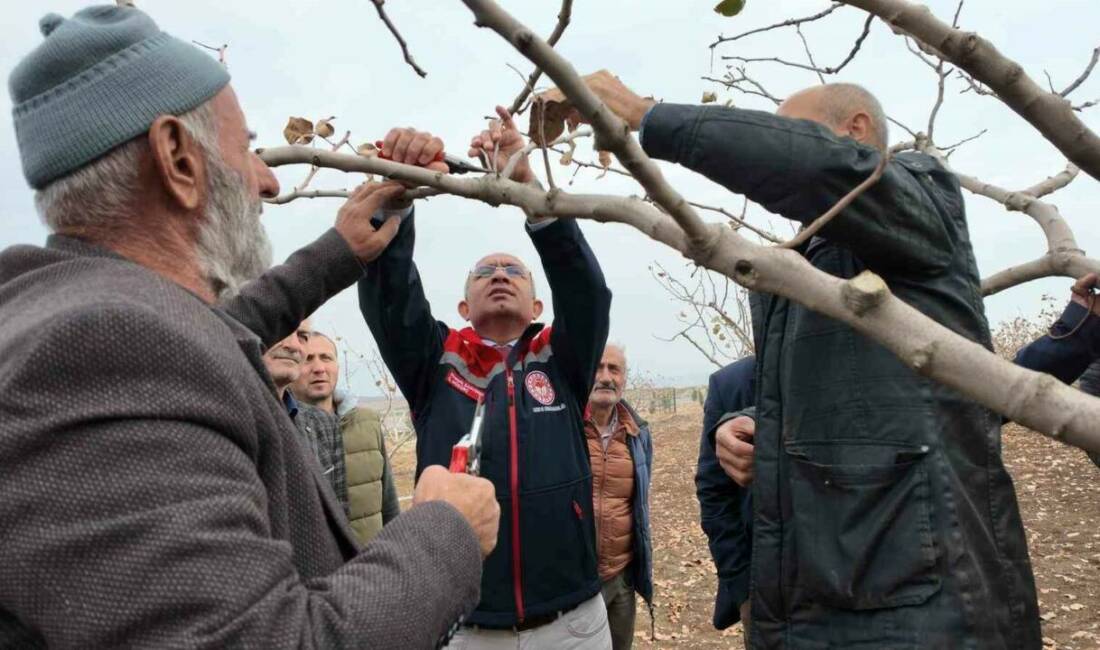 Siirt'te fıstık üretimi yapan çiftçilere budama ve gübreleme eğitimi verildi.