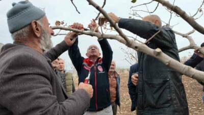 Siirt'te fıstık üretimi yapan çiftçilere budama ve gübreleme eğitimi verildi.