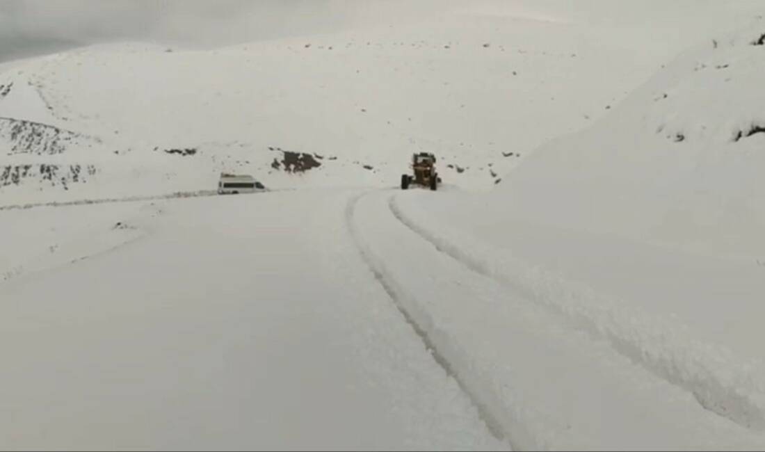 Siirt’te karda araçlar yolda mahsur kaldı Siirt'in Pervari ilçesinde kar yağışı nedeniyle yollar beyazlandı. Kurtarma ekipleri,