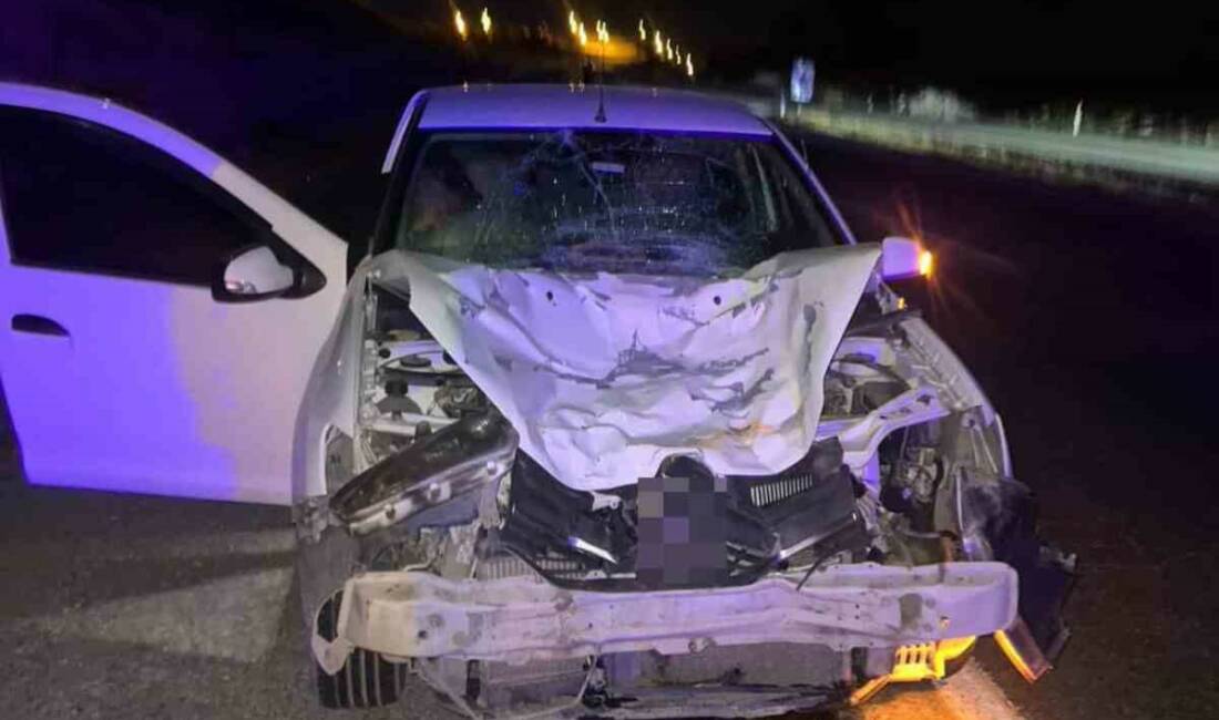 Siirt’te otomobilin çarptığı at telef oldu Siirt’in Kurtalan ilçesinde otomobilin çarptığı at telef oldu.