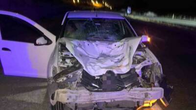 Siirt’in Kurtalan ilçesinde otomobilin çarptığı at telef oldu.