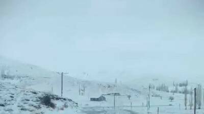 Adıyaman'ın Sincik ilçesi ile Malatya arasındaki kara yolunda sabah saatlerinde