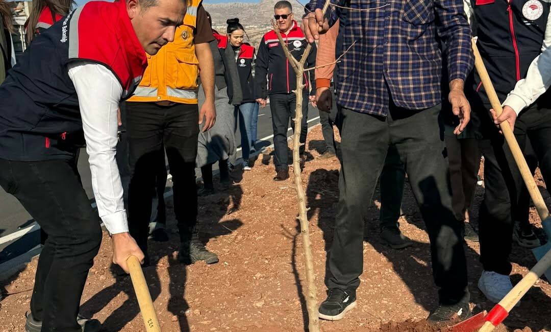 Şırnak İl Tarım ve Orman Müdürlüğü, Şırnak-Cizre karayolu refüjünde 365