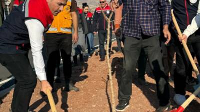 Şırnak İl Tarım ve Orman Müdürlüğü, Şırnak-Cizre karayolu refüjünde 365