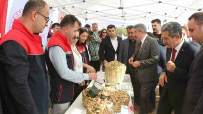 Şırnak’ın Silopi ilçesinde bu 60 bin dekara ekilen yer fıstığından
