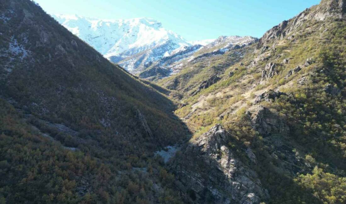 Şırnak'ın Beytüşşebap ve Uludere ilçelerinde kar yağışının ardından 3 bin