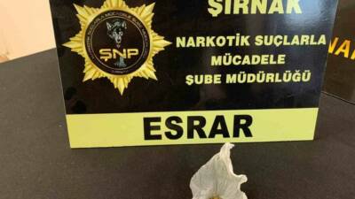 Şırnak İl Emniyet Müdürlüğü ekipleri tarafından 27 Ekim-2 Kasım 2025