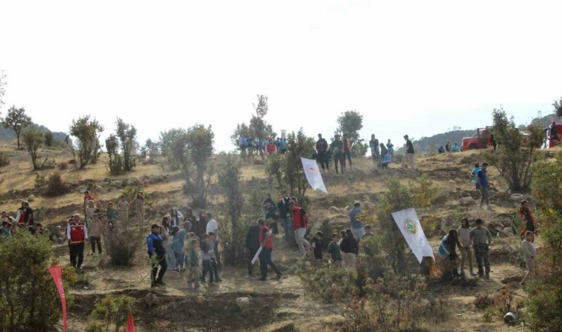 Şırnak-Cizre karayolunun 30. kilometresinde gerçekleştirilen fidan dikim etkinliğinde Şırnak Valisi