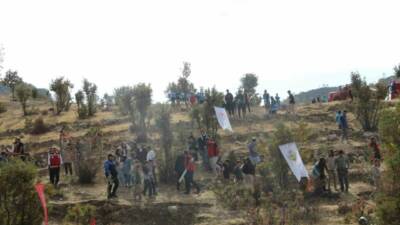 Şırnak-Cizre karayolunun 30. kilometresinde gerçekleştirilen fidan dikim etkinliğinde Şırnak Valisi