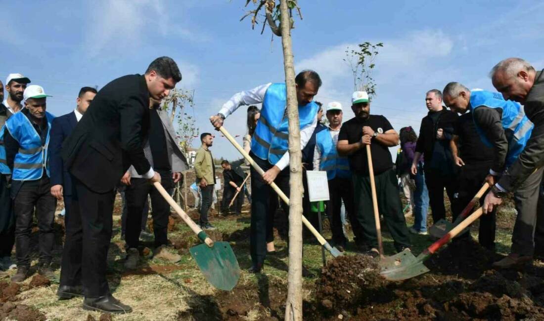 Siverek ilçesinde düzenlenen 11 Kasım Milli Ağaçlandırma Günü etkinliğine ilçe