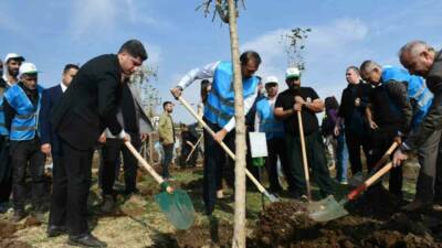 Siverek ilçesinde düzenlenen 11 Kasım Milli Ağaçlandırma Günü etkinliğine ilçe