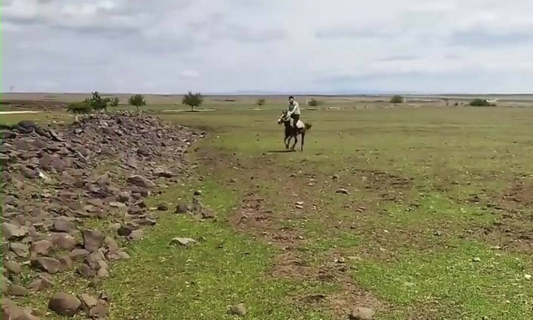 Şanlıurfa'nın Siverek ilçesindeki iki farklı olay, cep telefonu kameralarına yansıyarak