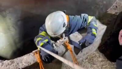 Batman’da su kuyusuna düşen çakal, itfaiye ekipleri tarafından kurtarıldı.