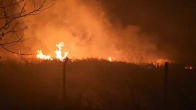 Sülüklü Göl mevkisinde kamışların yanmasıyla çıkan yangın, hızlı bir şekilde