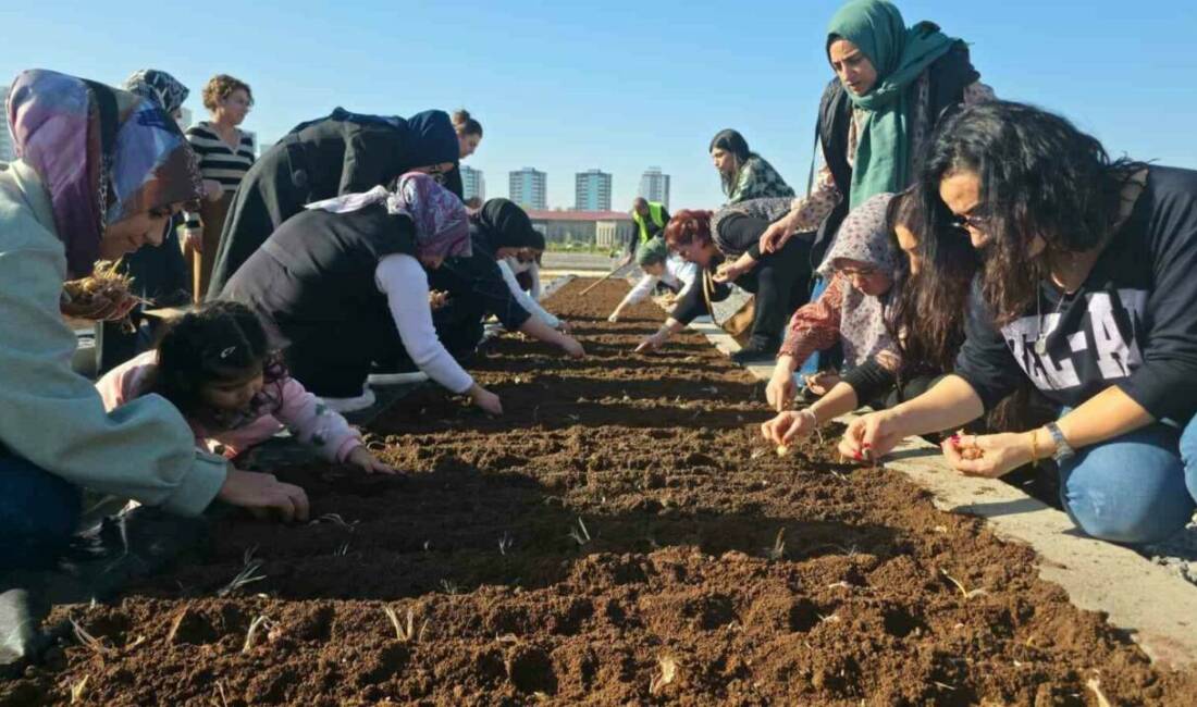 Diyarbakır Büyükşehir Belediyesi tarafından düzenlenen Tıbbi ve Aromatik Bitkiler Yetiştiriciliği