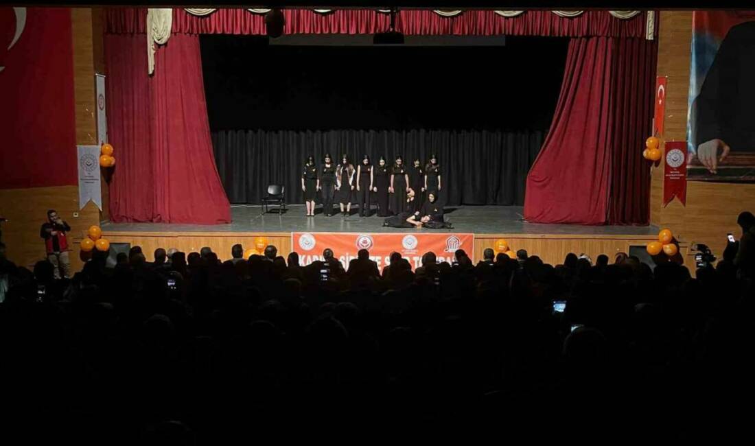 Siirt Valisi Kemal Kızılkaya, Kadına Yönelik Şiddette Karşı Uluslararası Mücadele