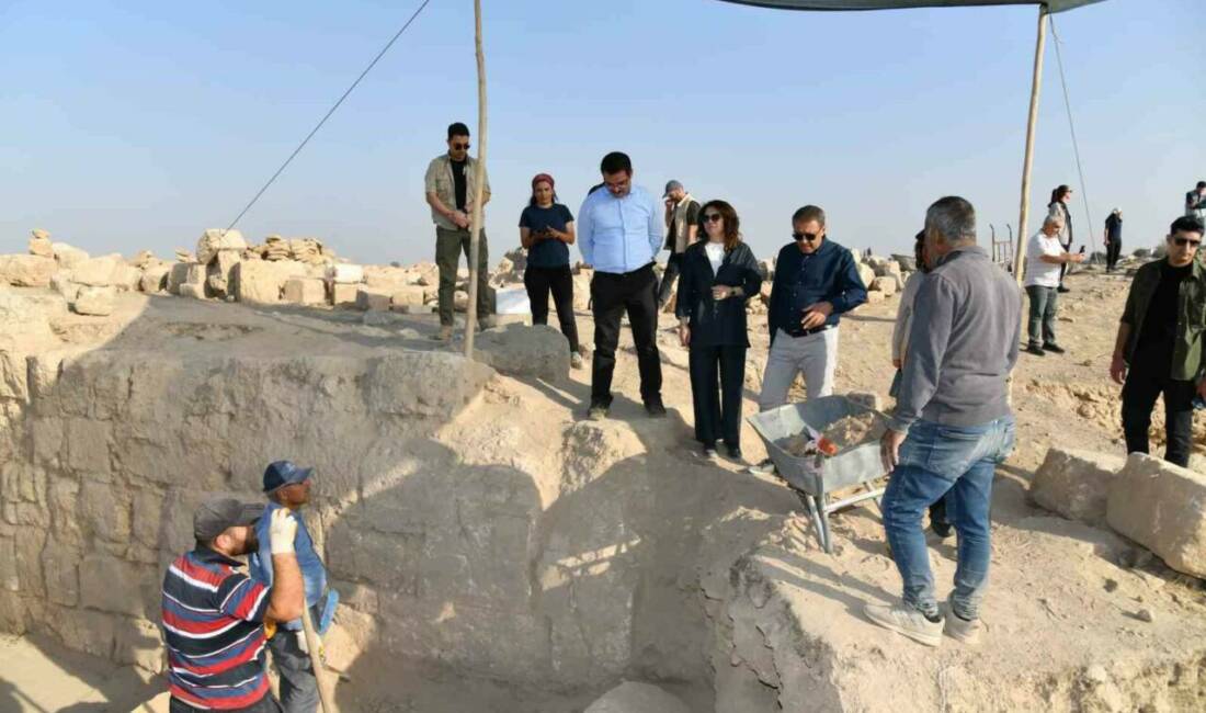 Şanlıurfa Valisi Hasan Şıldak, Harran ilçesindeki kazı ve restorasyon çalışmalarını