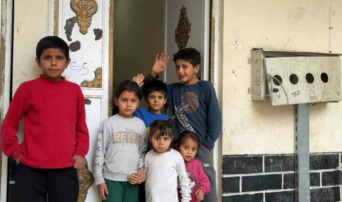 Eyyübiye Belediye Başkanı Mehmet Kuş, Hancığaz Mahallesi'ndeki sağlıksız yaşam şartlarına