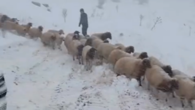 AK Parti Adıyaman Milletvekili Hüseyin Özhan, Besni ilçesine bağlı Hacıhalil
