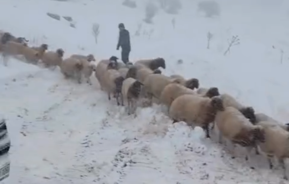 AK Parti Adıyaman Milletvekili Hüseyin Özhan, Besni ilçesine bağlı Hacıhalil