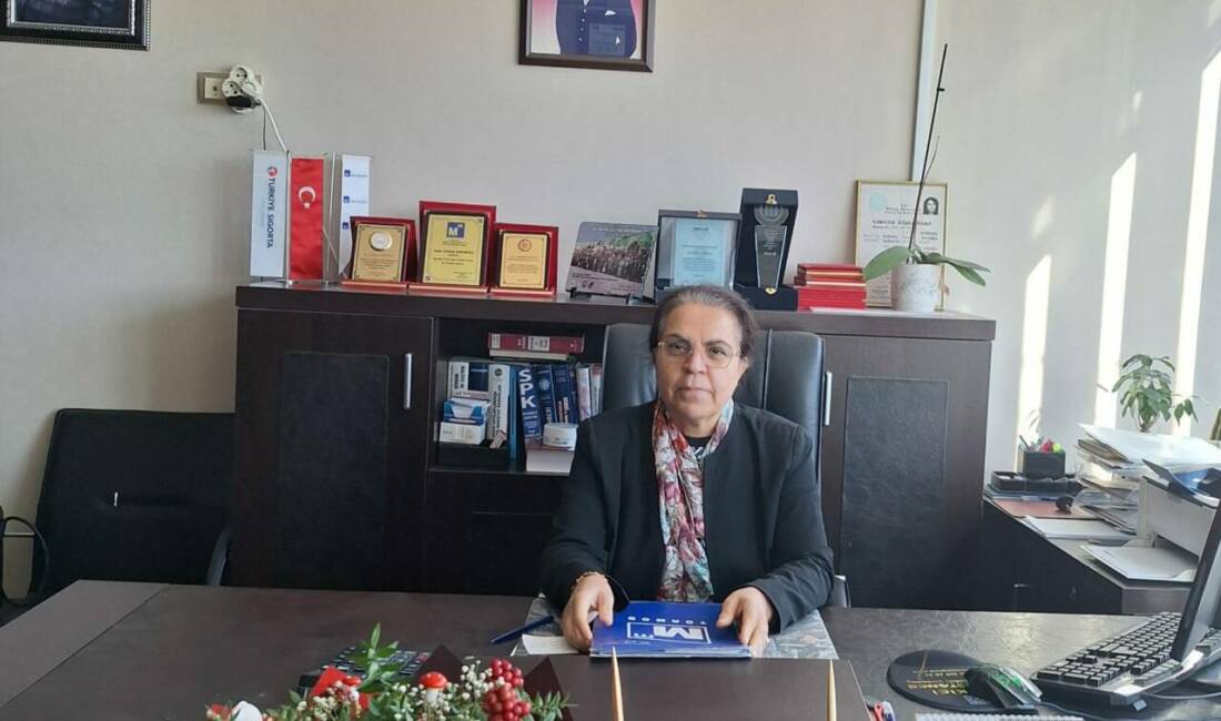 Adıyaman Serbest Muhasebeci Mali Müşavirler Odası (SMMMO) Besni Temsilcisi Selvinaz