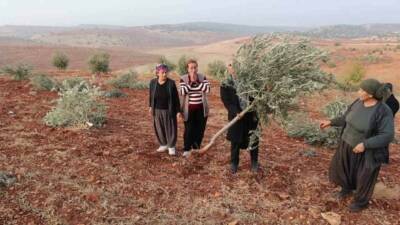 Adıyaman'ın Besni ilçesinde 500 dönüm arazi içerisinde bulunan 10 bin