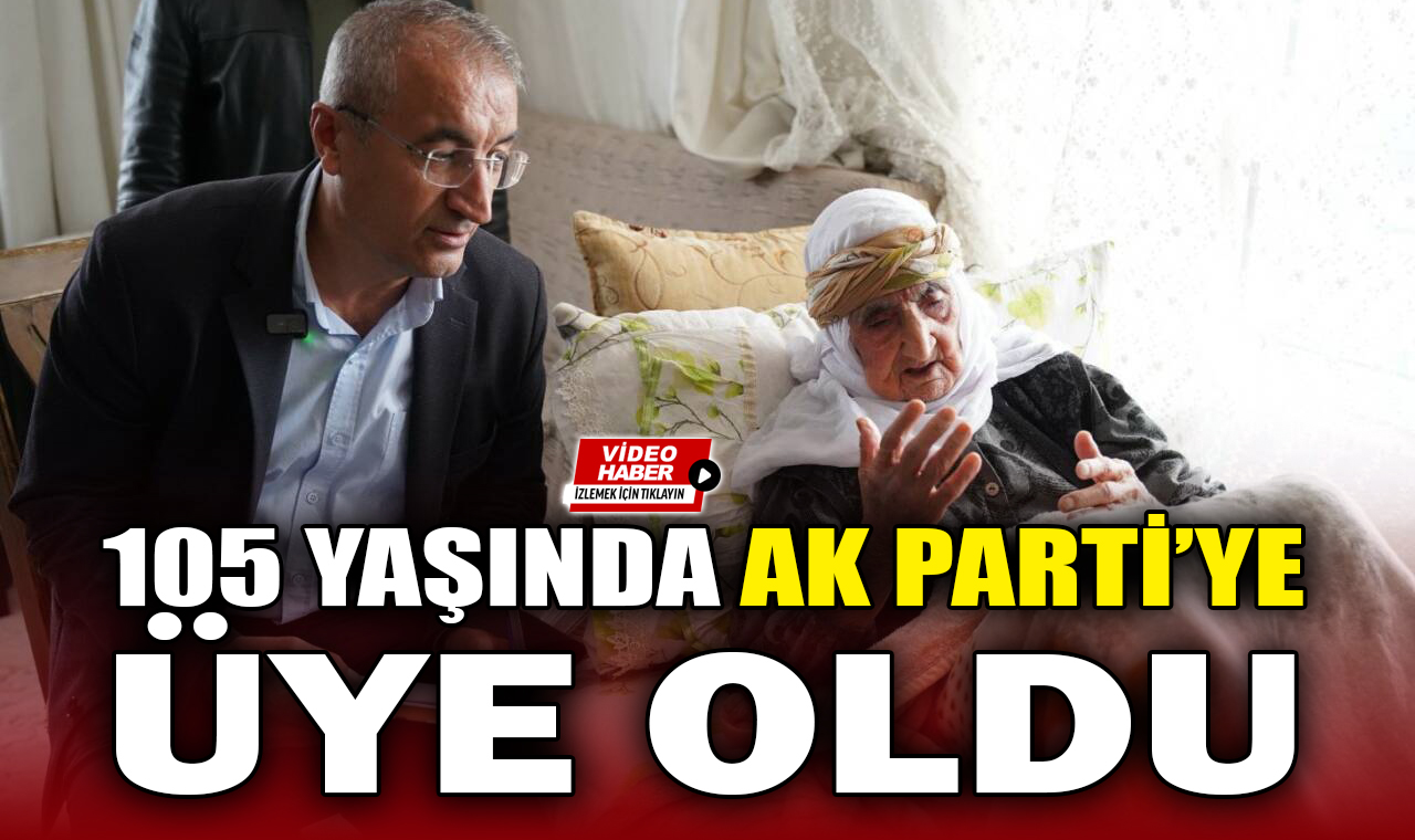 ak parti