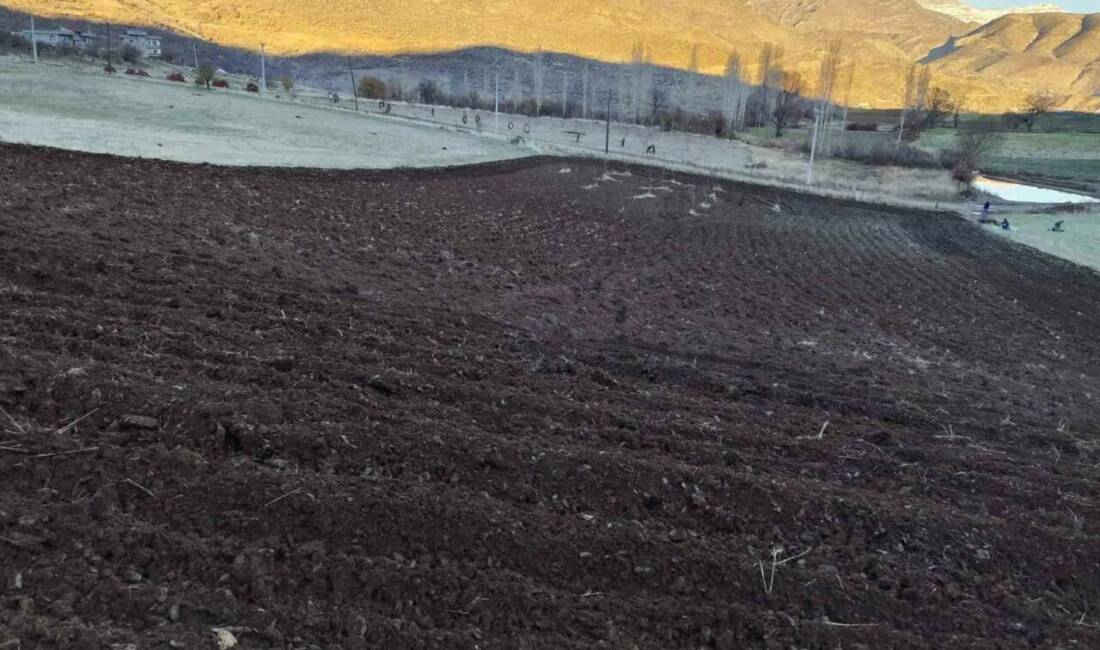 Şırnak'ın Uludere ilçesine bağlı Şenoba beldesindeki çiftçiler, kış aylarında kar