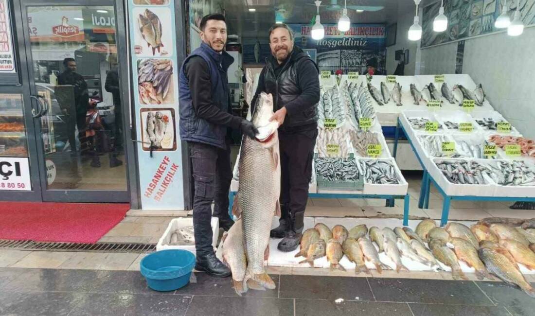 Batman’da sergilenen 2 metre 10 santim uzunluğunda ve 67 kilogram