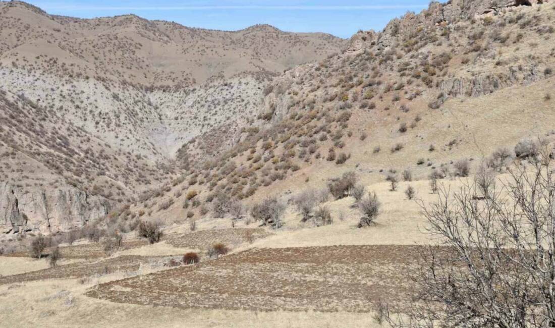 Bestler Dereler bölgesine 30 yıl sonra ilk kez yollar açılıyor Bestler Dereler bölgesinde huzurun sağlanmasıyla birlikte boşaltılan köylere yol açılıyor