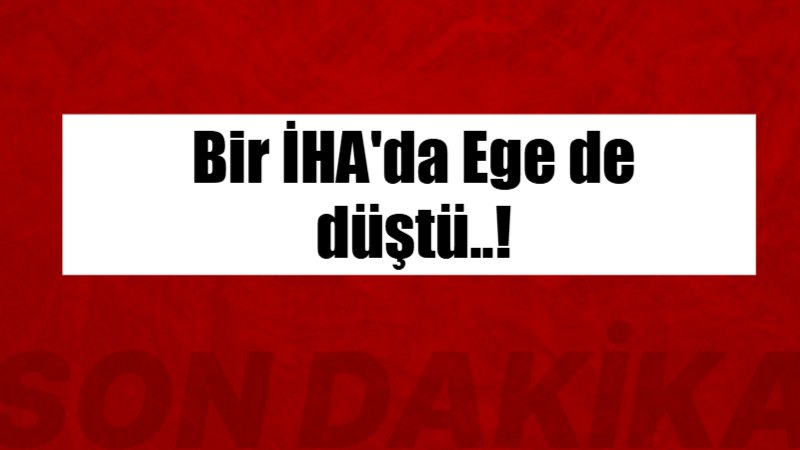 Balıkesir’in Manyas ilçesine bağlı Salur Mahallesi’nde bir insansız hava aracı