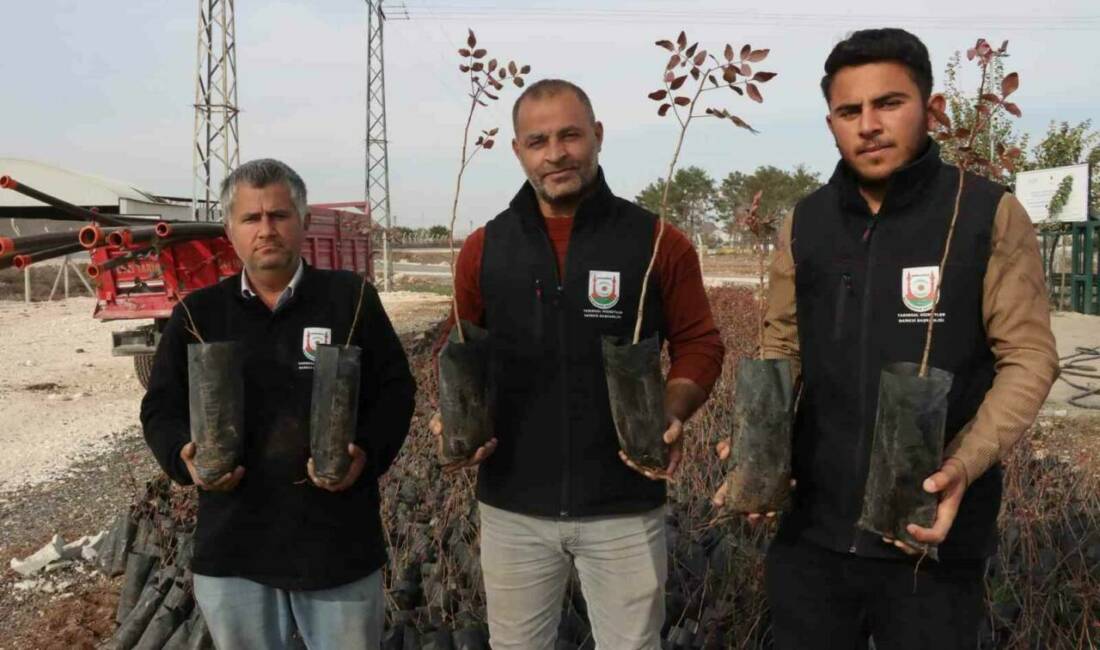 Şanlıurfa Büyükşehir Belediyesi, çiftçilere tarımsal üretimi desteklemek amacıyla 35 bin