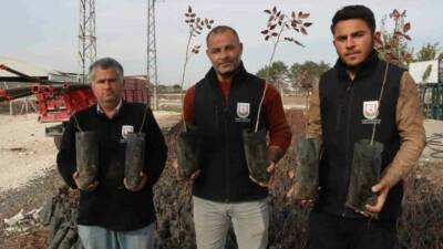 Şanlıurfa Büyükşehir Belediyesi, çiftçilere tarımsal üretimi desteklemek amacıyla 35 bin