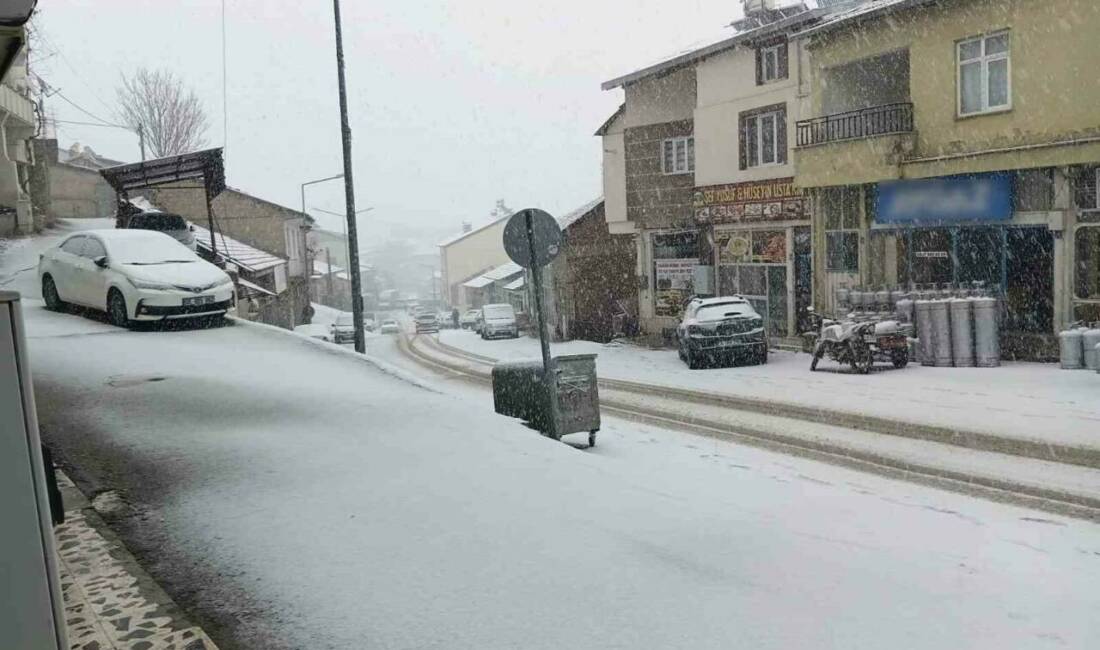 Adıyaman’ın Çelikhan ilçesi gece başlayan kar yağışıyla beyaza büründü.