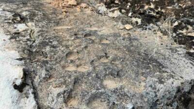 Diyarbakır’ın Kocaköy ilçesinde, binlerce yılın sonunda oluşan "damla lapyaları" Ambar