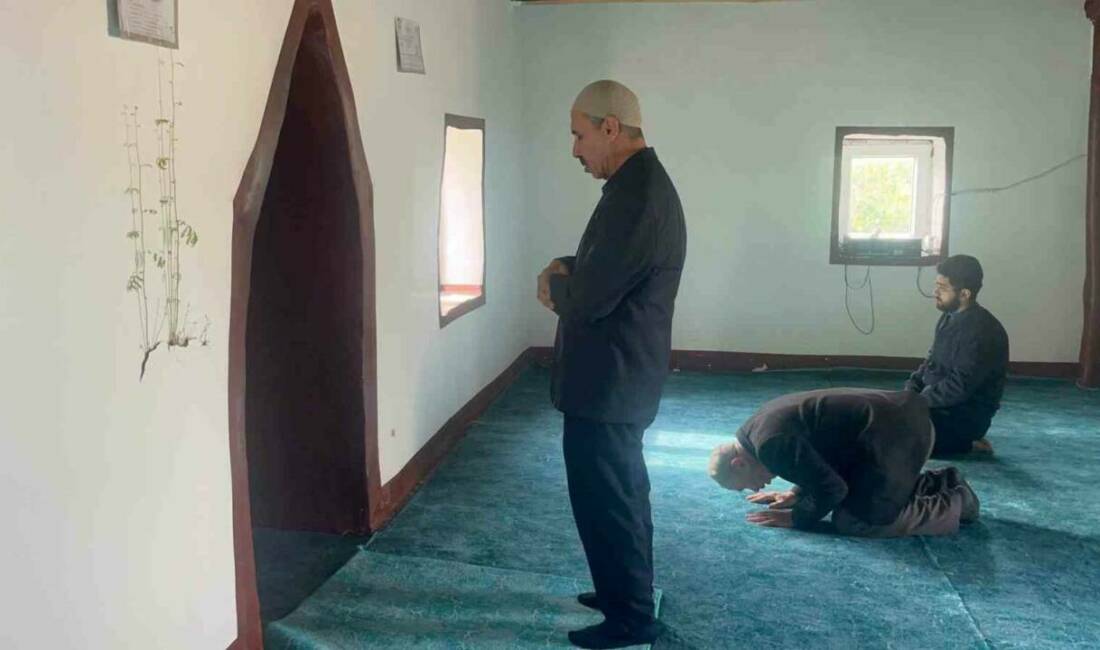 Diyarbakır’da bir caminin mihrap kısmındaki duvardan çıkan bitkinin yaprakları yeşerdi Bismil ilçesinde bulunan Hz. Ömer Camisi'nin mihrap kısmının yanında, toprak