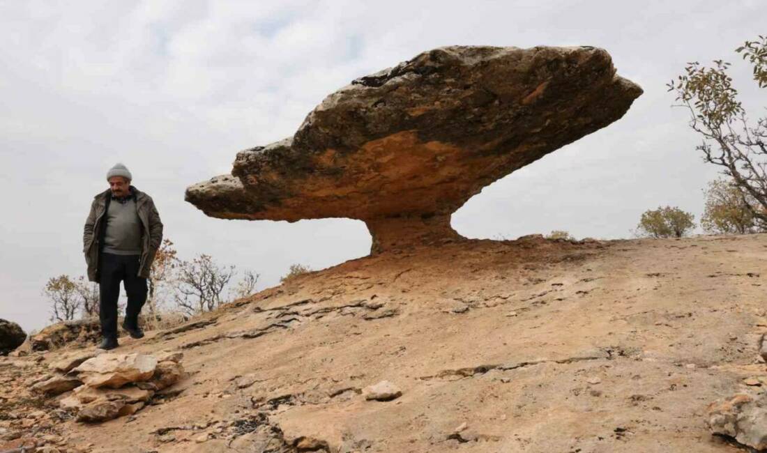 Kocaköy ilçesinde bulunan "mantar kaya", ince sütunla ayakta duran geniş