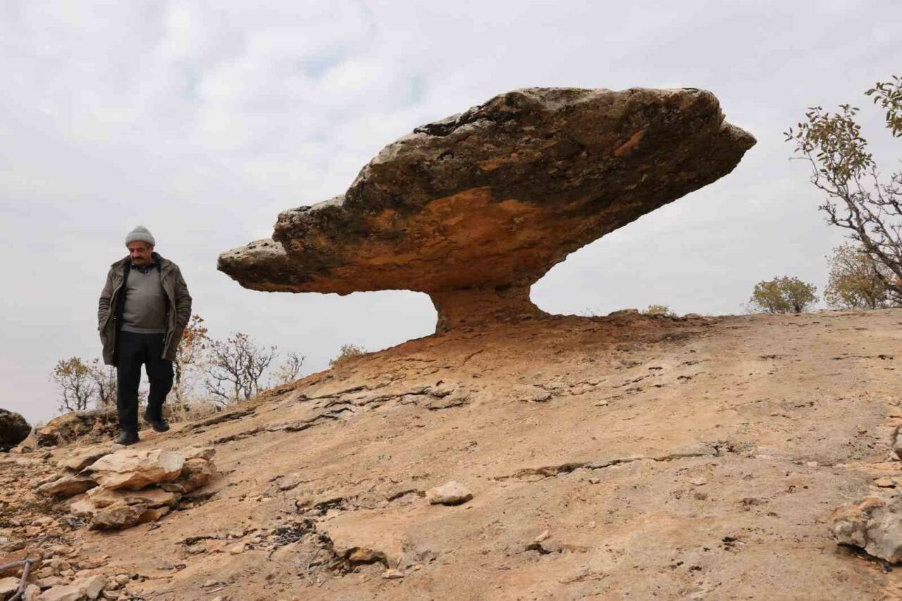Kocaköy ilçesinde bulunan "mantar kaya", ince sütunla ayakta duran geniş