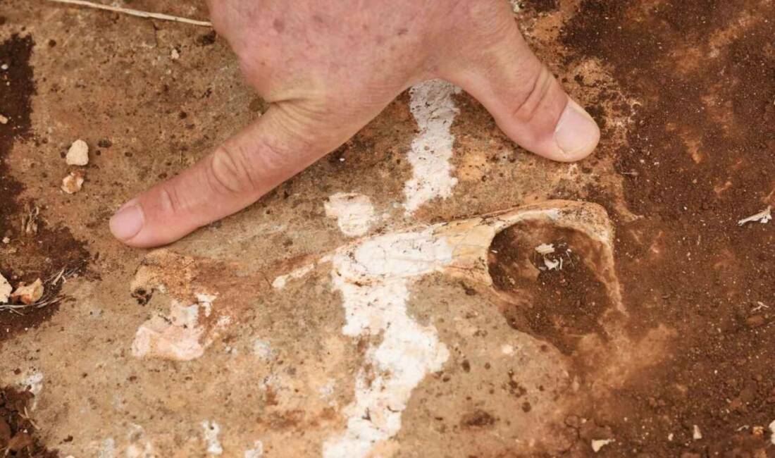 Kocaköy ilçesinin zemininin, Tetis Denizi'nin zemini olduğu düşünülmektedir ve burada