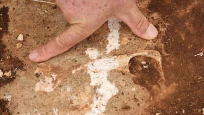 Kocaköy ilçesinin zemininin, Tetis Denizi'nin zemini olduğu düşünülmektedir ve burada