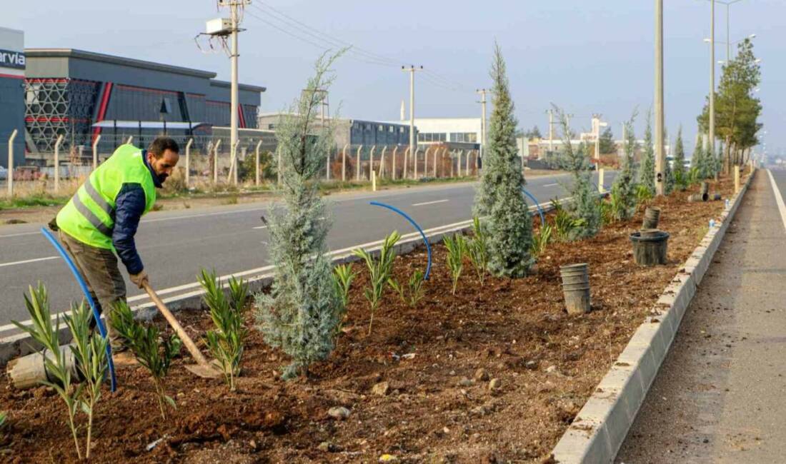 Diyarbakır Büyükşehir Belediyesi, Mardin yolundaki refüj ve kaldırımlarda 5 bin